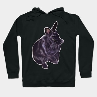 bunny rabbit cute  ebony colored coloured lionhead bunny rabbit Hoodie